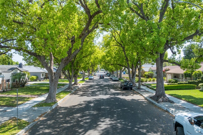 The tree-shrouded streets of Burbank create a serene canopy of green, offering a peaceful escape from the hustle and bustle of city life while inviting leisurely strolls.