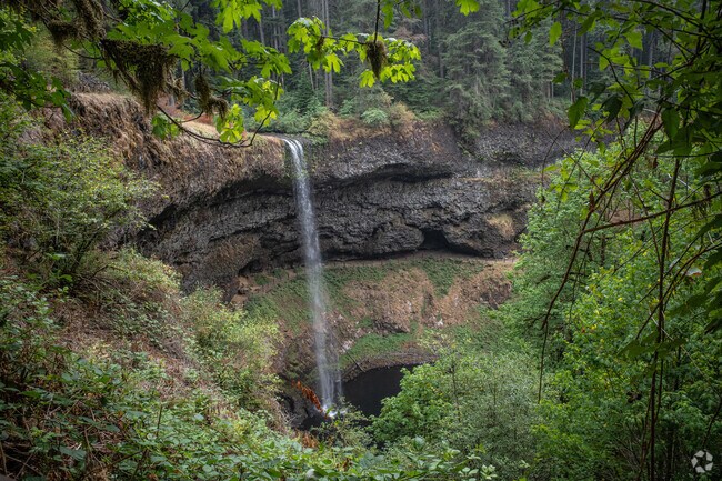 The South Falls in Silver Falls State Park is an excellent place to witness nature.