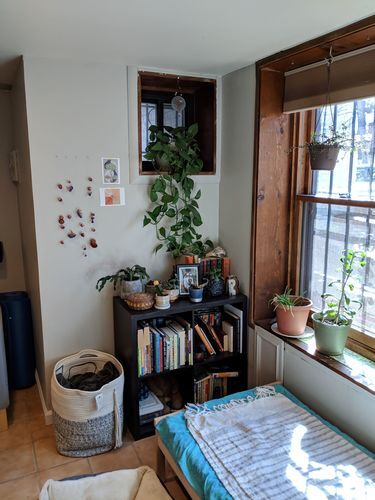 1629 Newton St NW unit B, Washington, DC 20010 - photo 2