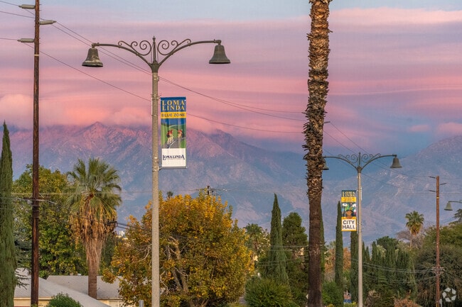 Loma Linda, one of the world’s rare Blue Zones, where longevity is a way of life.