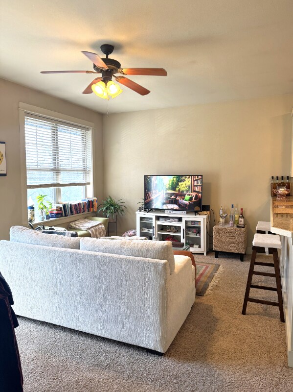 255 Fletcher Ave unit 6, Fayetteville, AR 72701 - photo 4