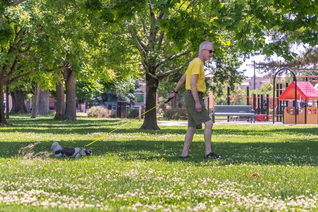 Quigley Park is a favorite spot for dogs and their owners alike.