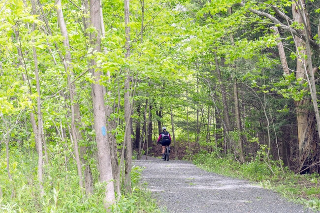 Trails at Greylock Glen in Adams are either rustic or improved like this fine gravel path.