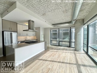441 E Ohio St Unit 2, Chicago, IL 60611