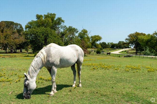 With many residents being avid riders, it is common to see horses grazing in the fields.