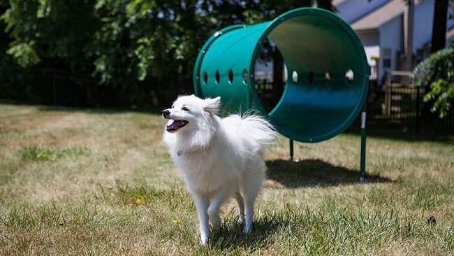 Brooksedge, Reynoldsburg, OH 43068 - photo 5