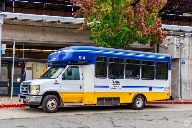 Ivy Drive residents benefit from easy access to local transit options like East Bay Paratransit and local bus routes.