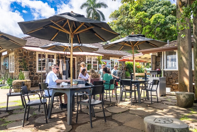 Trilogy Coffee blends Kilauea’s laid-back charm with bold flavors—think mushroom milk, turmeric chai, and lilikoi cheezecake.