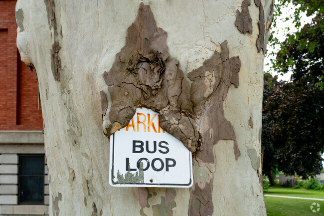 Rochester City School District RISE Community School 106 bus loop sign embedded in a tree.
