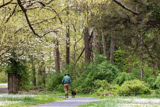 Lawrence Township has a number of parks to take your dog for a walk.