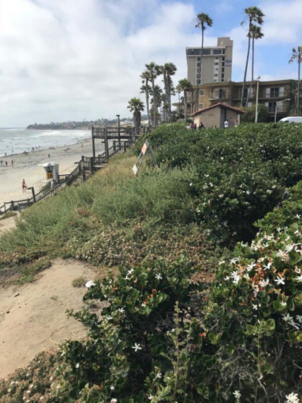 4667 Ocean Blvd, San Diego, CA 92109