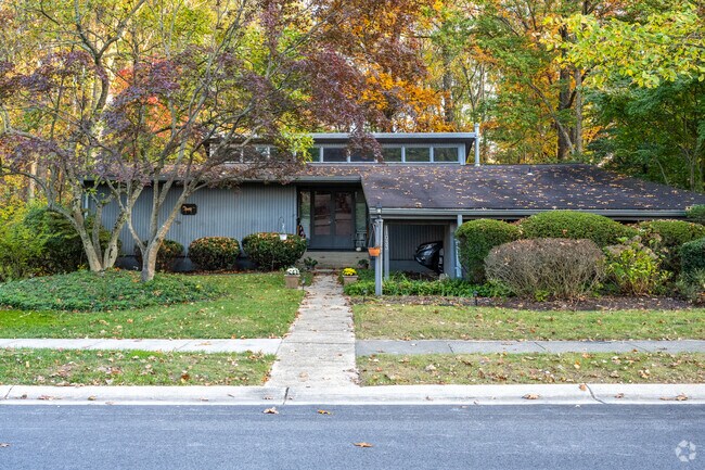 Columbia contemporaries are all unique.