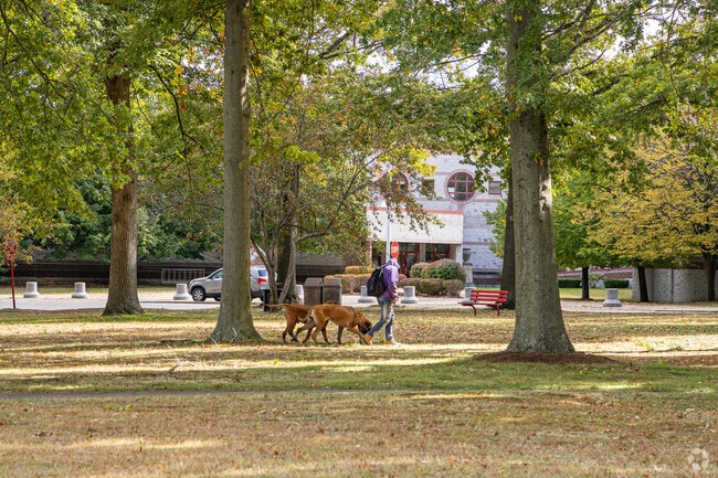 Take your best friends for a nice walk at Wayne Park.