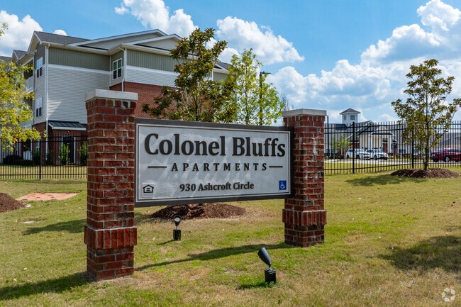Colonel Bluffs, Columbia, SC 29229 - photo 3
