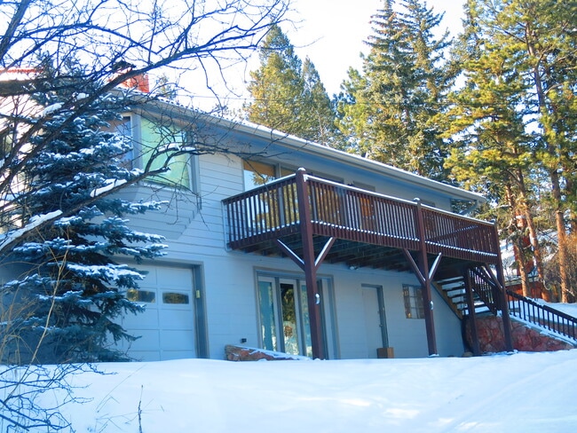 9885 Fountain Rd, Cascade, CO 80809 - photo 3