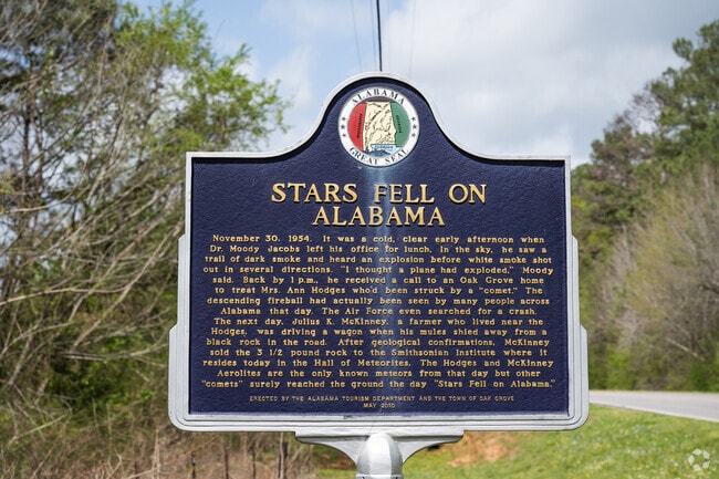 On November 30, 1954, a woman was struck by a meteorite in Sylacauga.