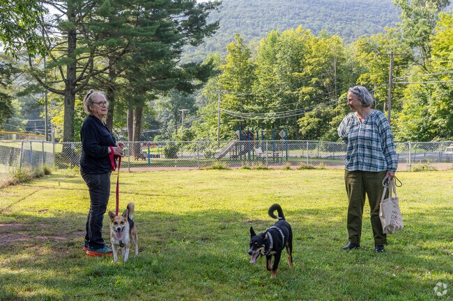 Pine Hill residents often meet at Shandaken Dog Park for playtime and socializing.
