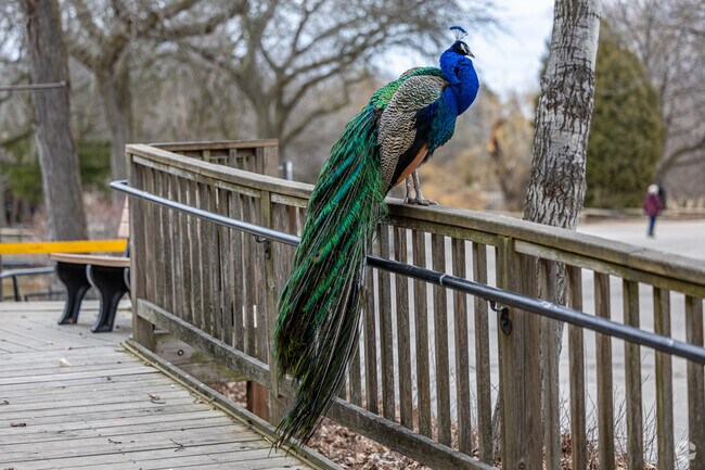 Cannon Park residents can see some amazing birds at the Milwaukee County Zoo.