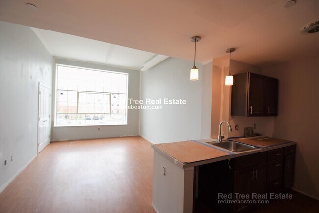 9 Williams St unit 310, Boston, MA 02119 - photo 6