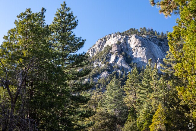 Get out into nature at Mount San Jacinto State Park near Spice Ranch.