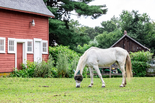 North Granby is home to both working farms and smaller properties suitable for a few animals.