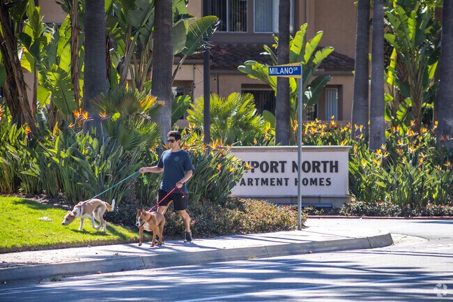 Newport North is a dog-friendly neighborhood with plenty of open spaces.