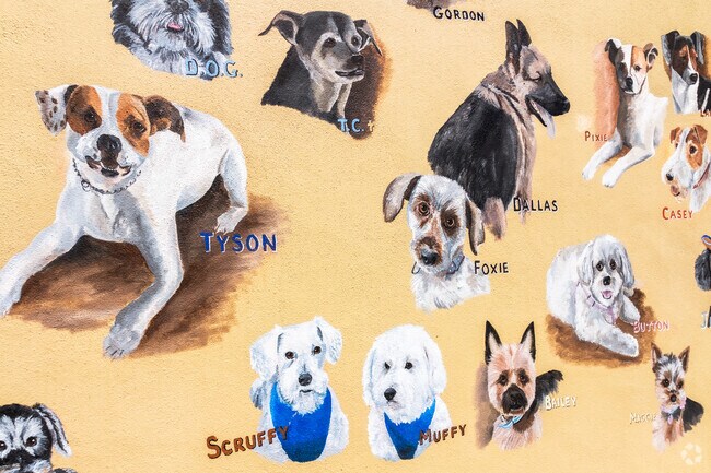 Pet Owners delight in the large Spring Lake Pet Park located in William Gentry Eco-Park.