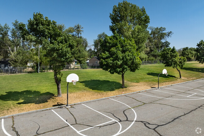 Shade trees and a field sit behind basketball courts at Hunter Junior High.