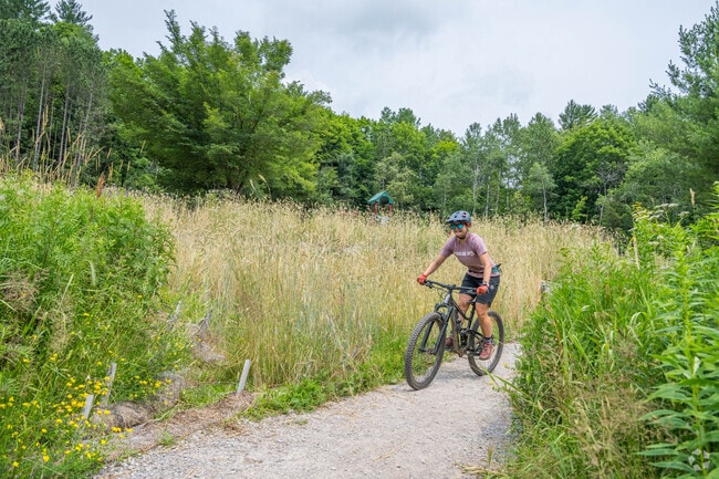 Chester Park in Duluth provides skiing, hiking, playgrounds, and a sports field for all seasons.