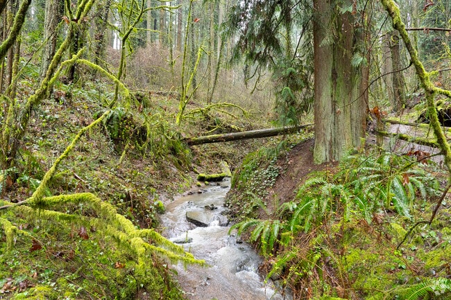 Take in the benefits of relaxing in nature at the Woods Memorial Natural Area.