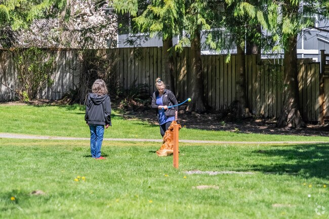 Wilderness Rim locals play with their dogs at Wilderness Rim Park.