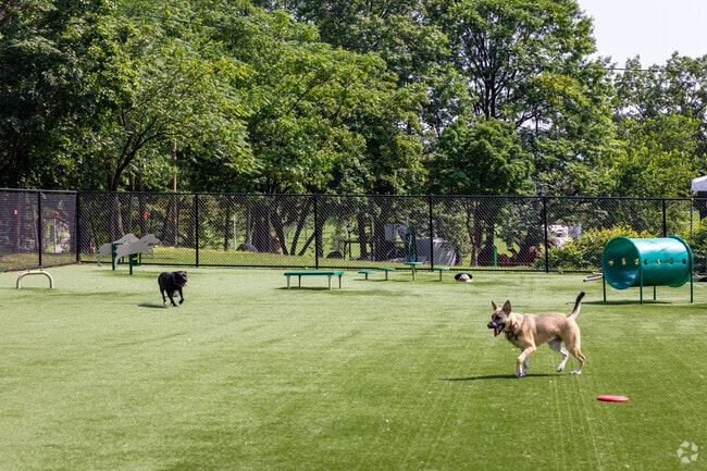 Residents can bring their dogs to Braddock Park in North Bergen.