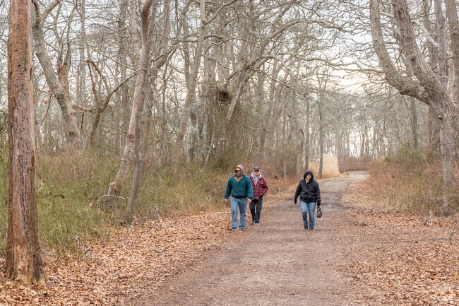 Enjoy a stroll through the vast trails of Heckscher State Park in Great River.