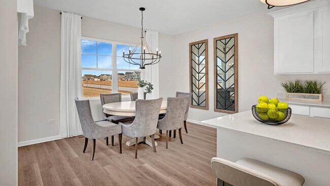 2307 Hirsch Rd, Oswego, IL 60543 - photo 7