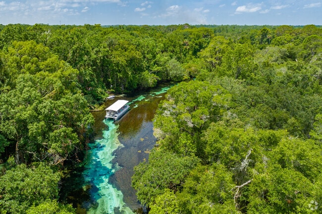 Take a cool, refreshing tour on the Weeki Wachee River in North Weeki Wachee.