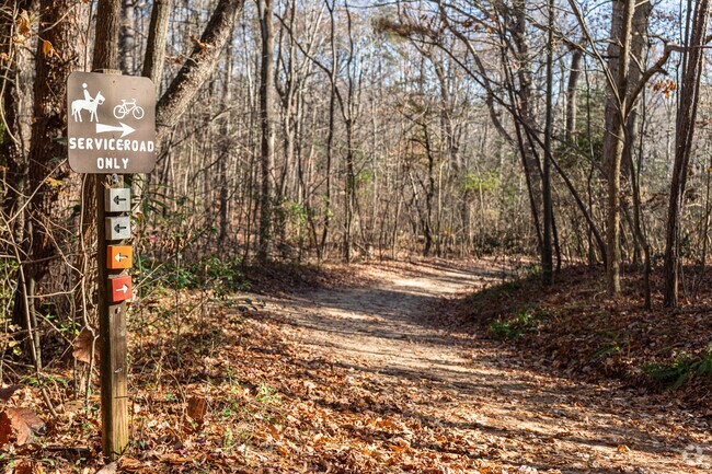 The trails of Calvert Cliffs State Park guide visitors through its many walking trails.