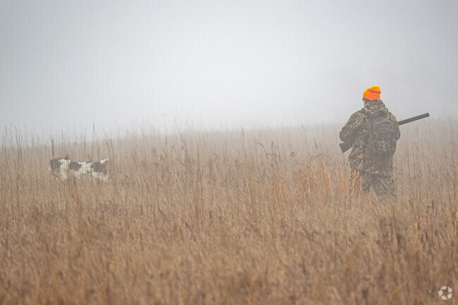 Vernon residents can head to Vernon Wildlife Area to do some pheasant hunting.