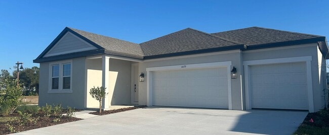 10179 Hidden Hammock Loop, Parrish, FL 34219 - photo 2