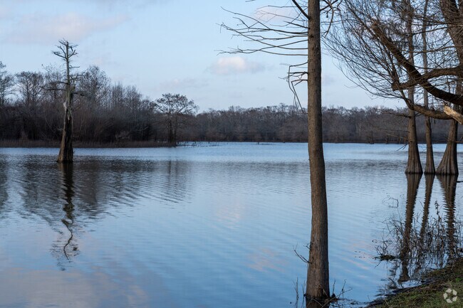 The Trinity River National Wildlife Refuge offers visitors a peaceful escape with diverse wildlife.