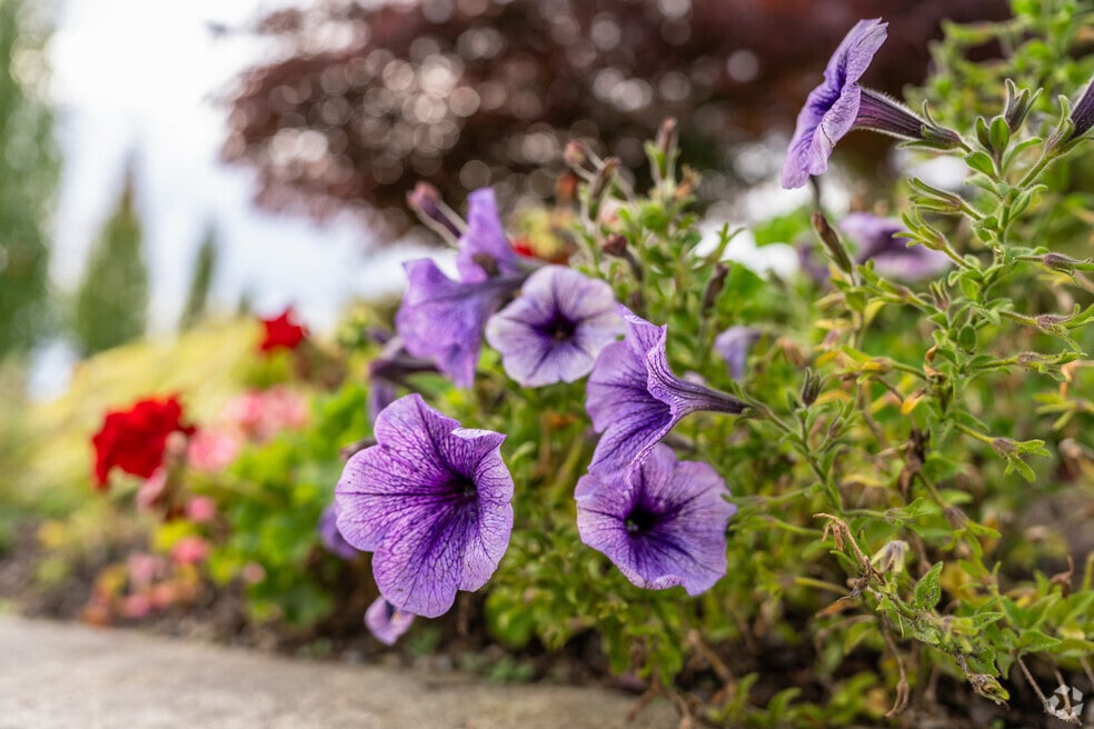 FINAL_Neighborhood_CanyonCreek-39th_V1_11823