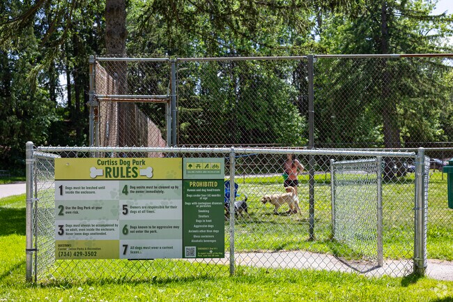 Furry friends gather for outdoor activities at Curtiss Park's dog run.