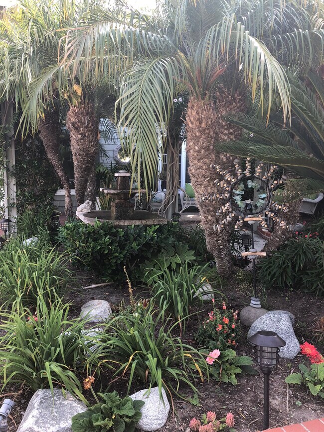 Front garden