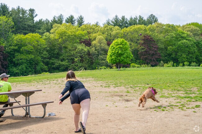 Bring your pup to the Sheepfold Dog Park for a game of fetch near Symmes Corner.