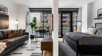 226 E Grand Ave, Chicago, IL 60611 - photo 2