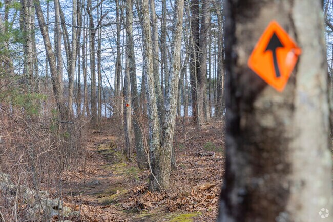 Hikers can enjoy a few well marked trails around Crystal Lake at the Crystal Shores Conversation Area.
