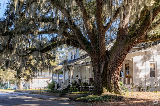 Avondale is known for its large mature live oak trees.