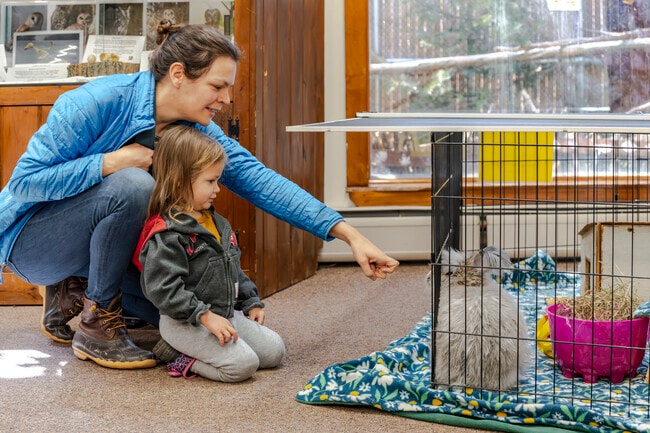 The Ansonia nature center offers live animal experiences all year long.