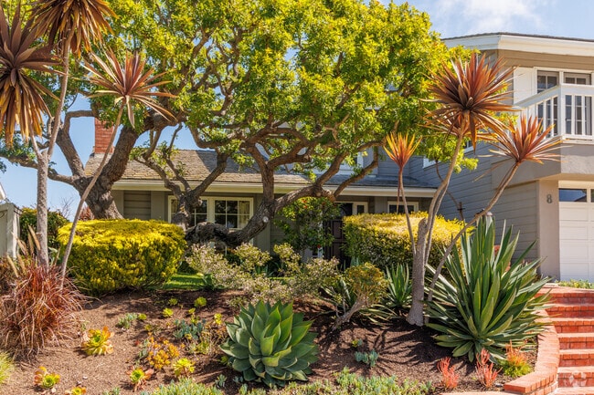 Spyglass Hill is a special neighborhood with spectacular homes and landscaping.