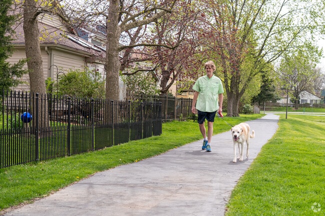 A Huntington Hill local enjoys a brisk morning walk with his dogs in Naperville, IL.