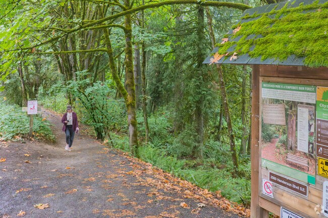 Take a walk through the trails of Watershed Park for some midday exercise in Indian Creek.